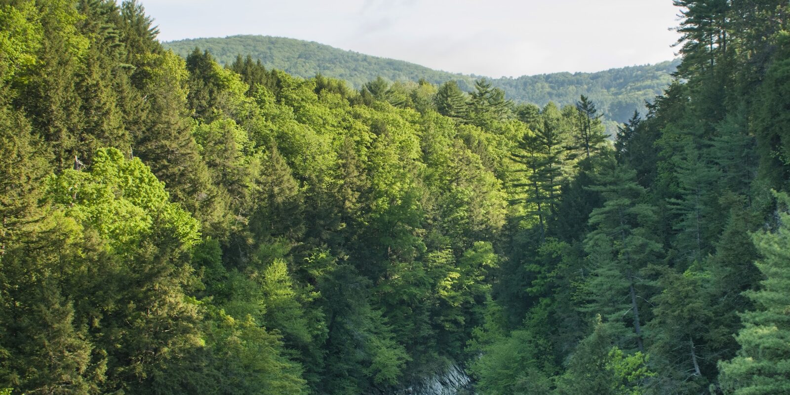 Balloon soaring over the Quechee Gorge in Vermont during the Quechee Balloon Festival